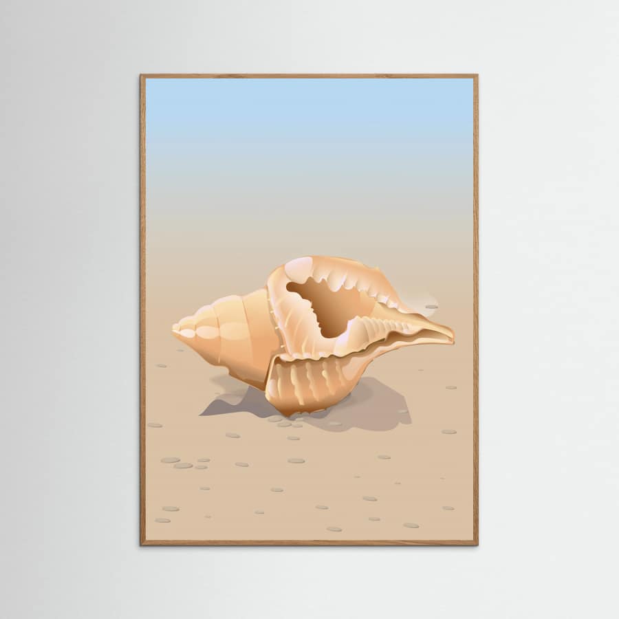 Seaside Shell -juliste