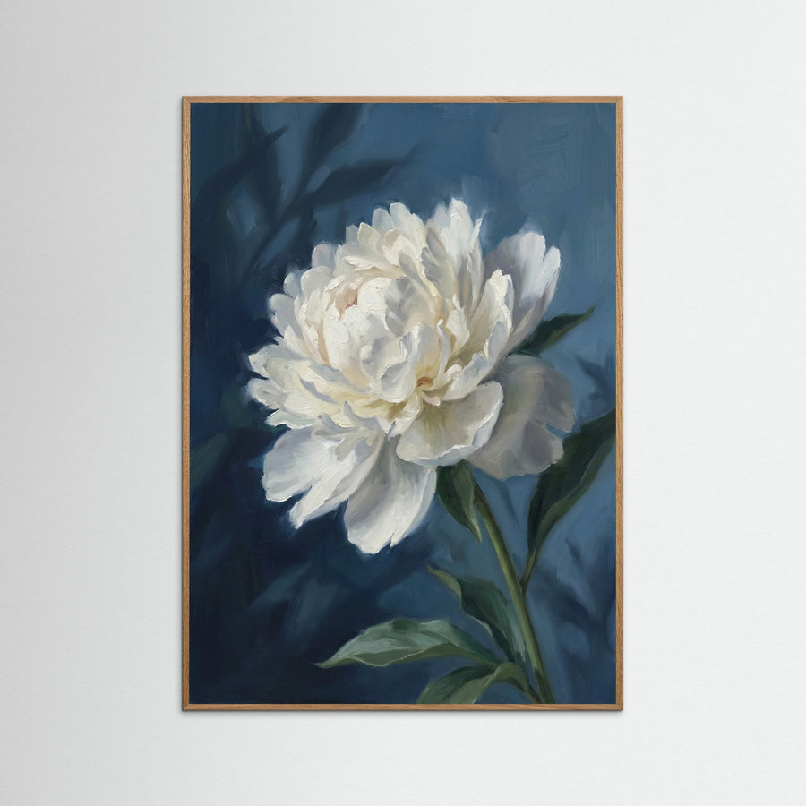 Serene Ranunculus