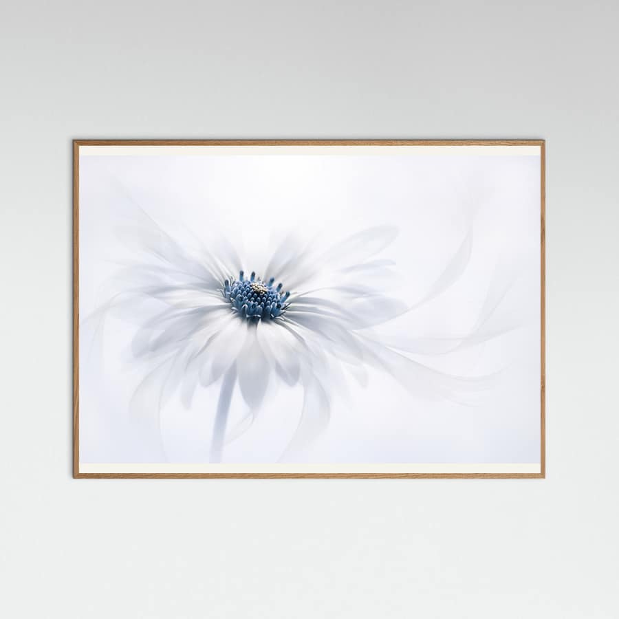 Serenity Poster – plakat og kunsttryk