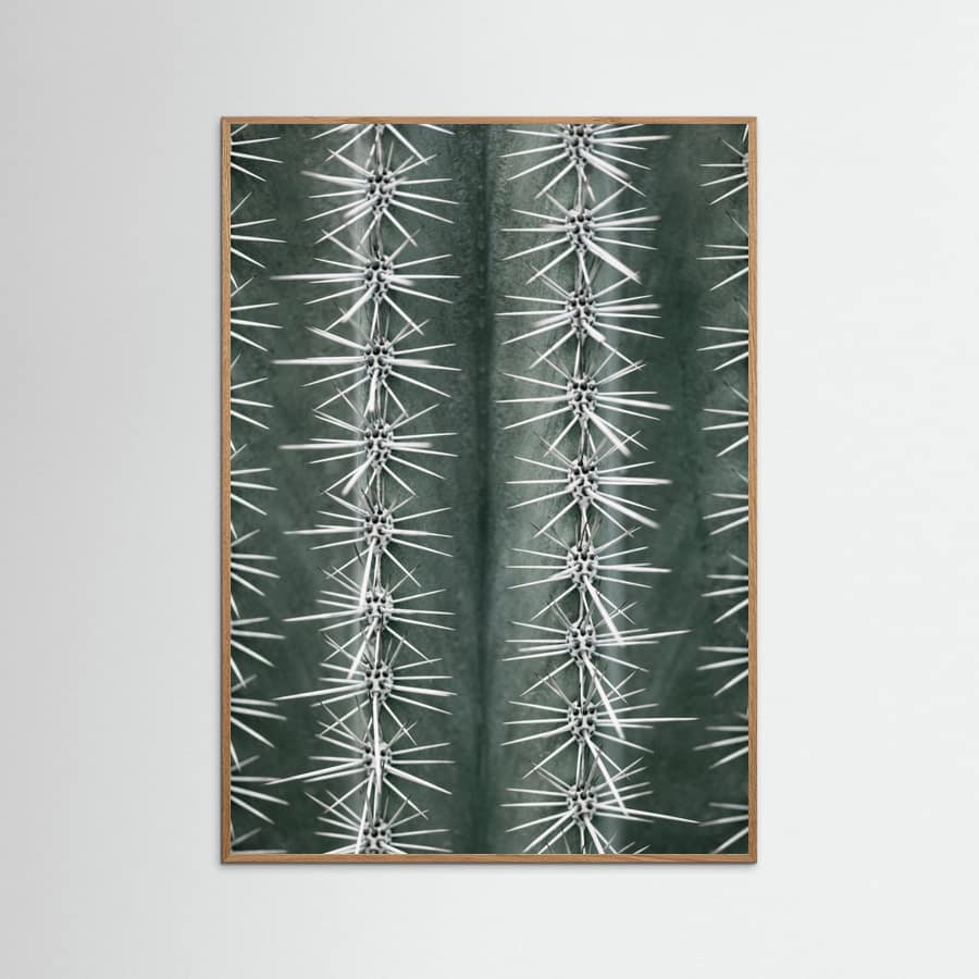Sharp Cactus Pattern Poster – plakat og kunsttryk