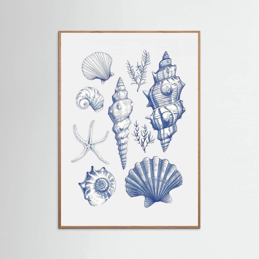 Póster Shell Collage