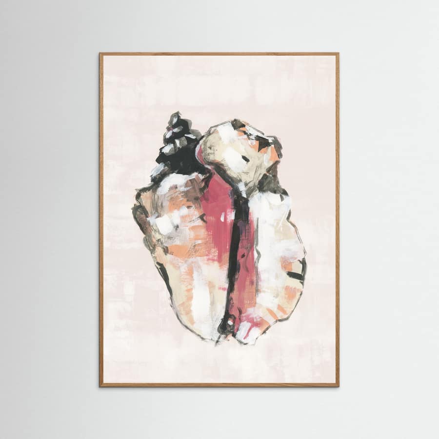 Shell Collector Art Print No 1 Poster