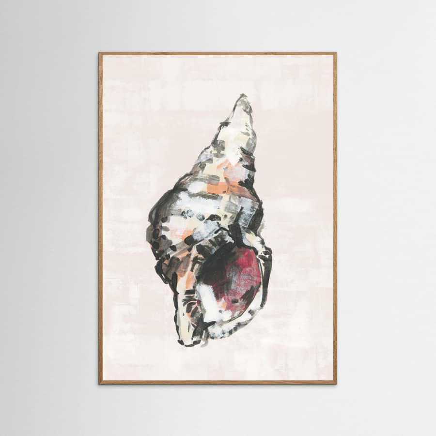 Shell Collector Art Print No 2 Poster