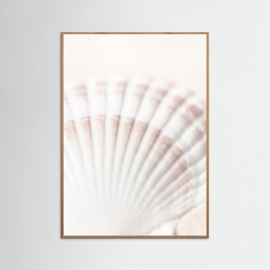Shell Poster