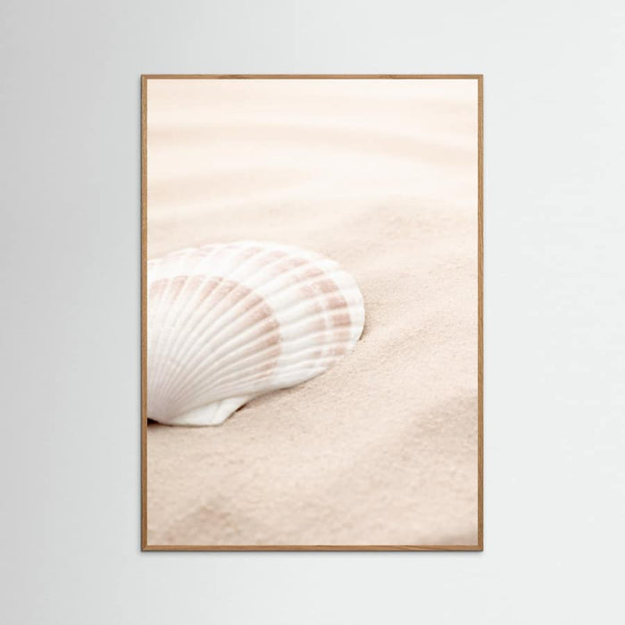 Poster Shell_3 – poster e stampa artistica