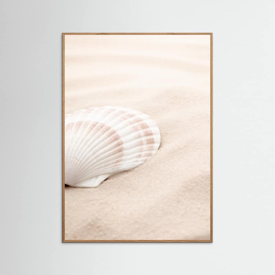 Shell_3 Poster