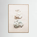 Poster Shells – poster e stampa artistica
