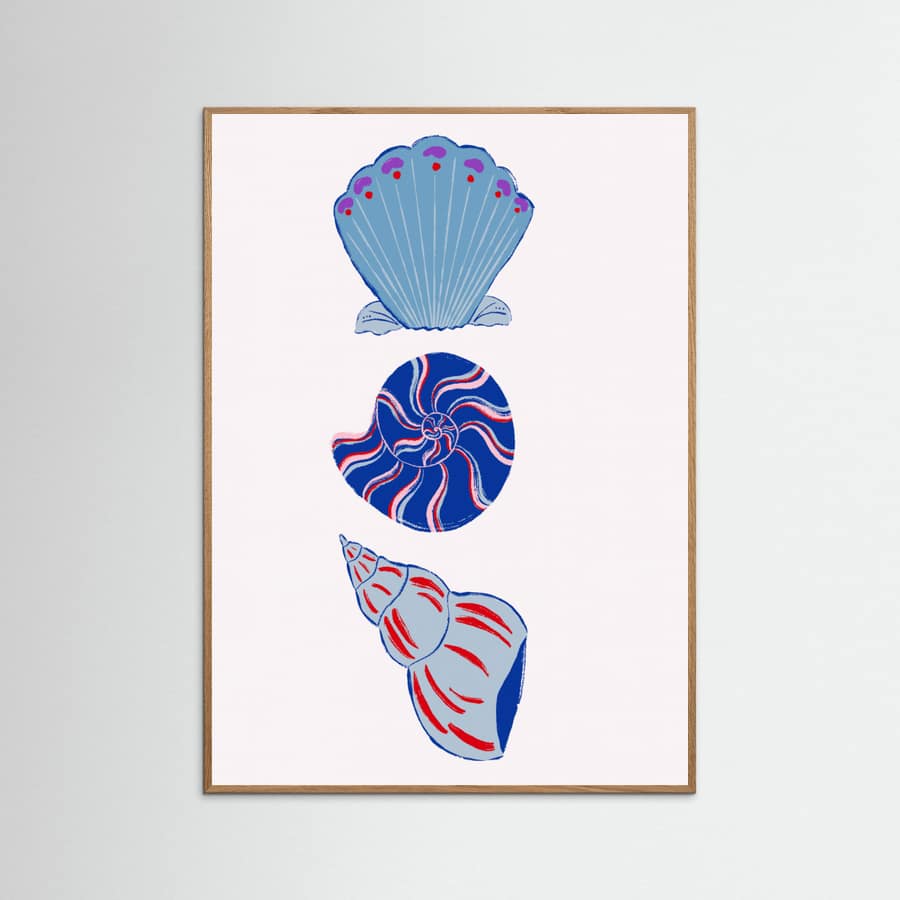 Shells -juliste
