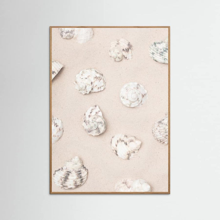 Shells_2 Poster – Poster und Kunstdruck