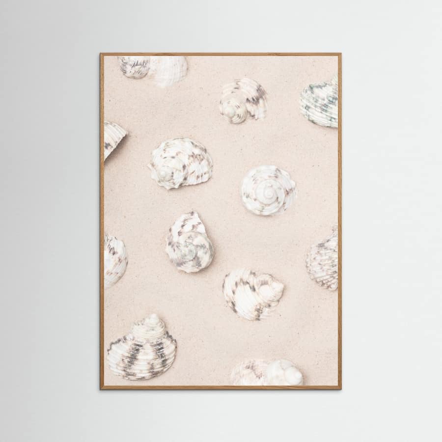 Shells_2 Poster