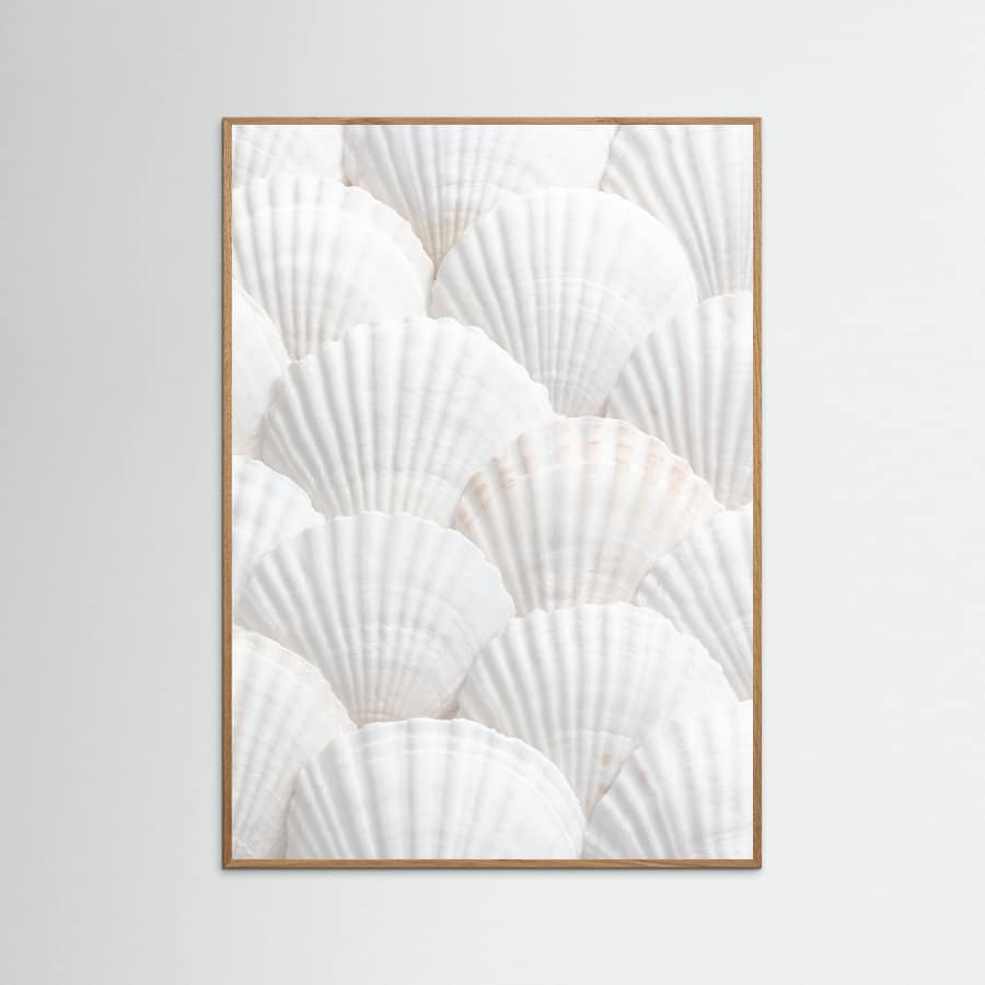Shells_3 Poster