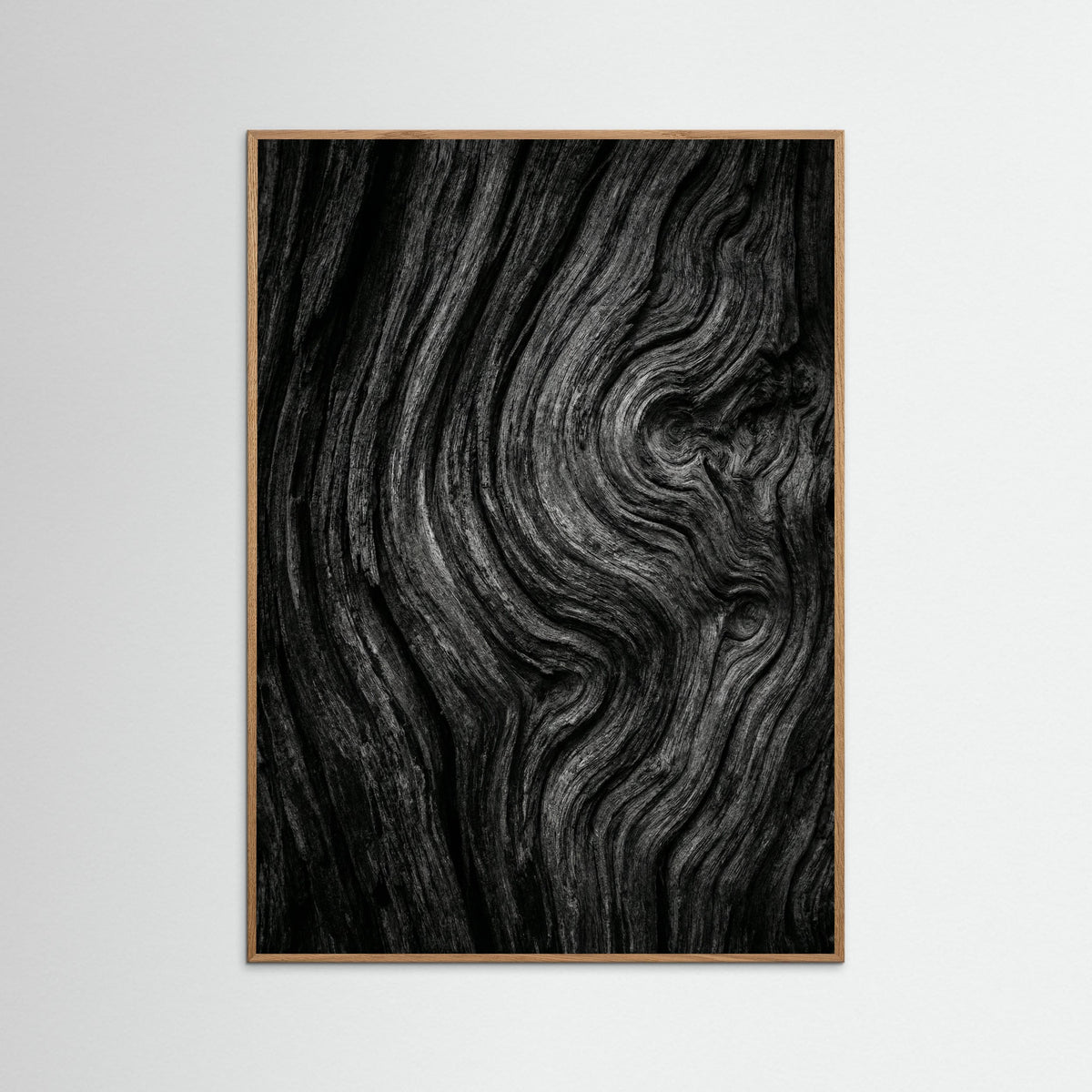 Oak Nature Silent Leaves