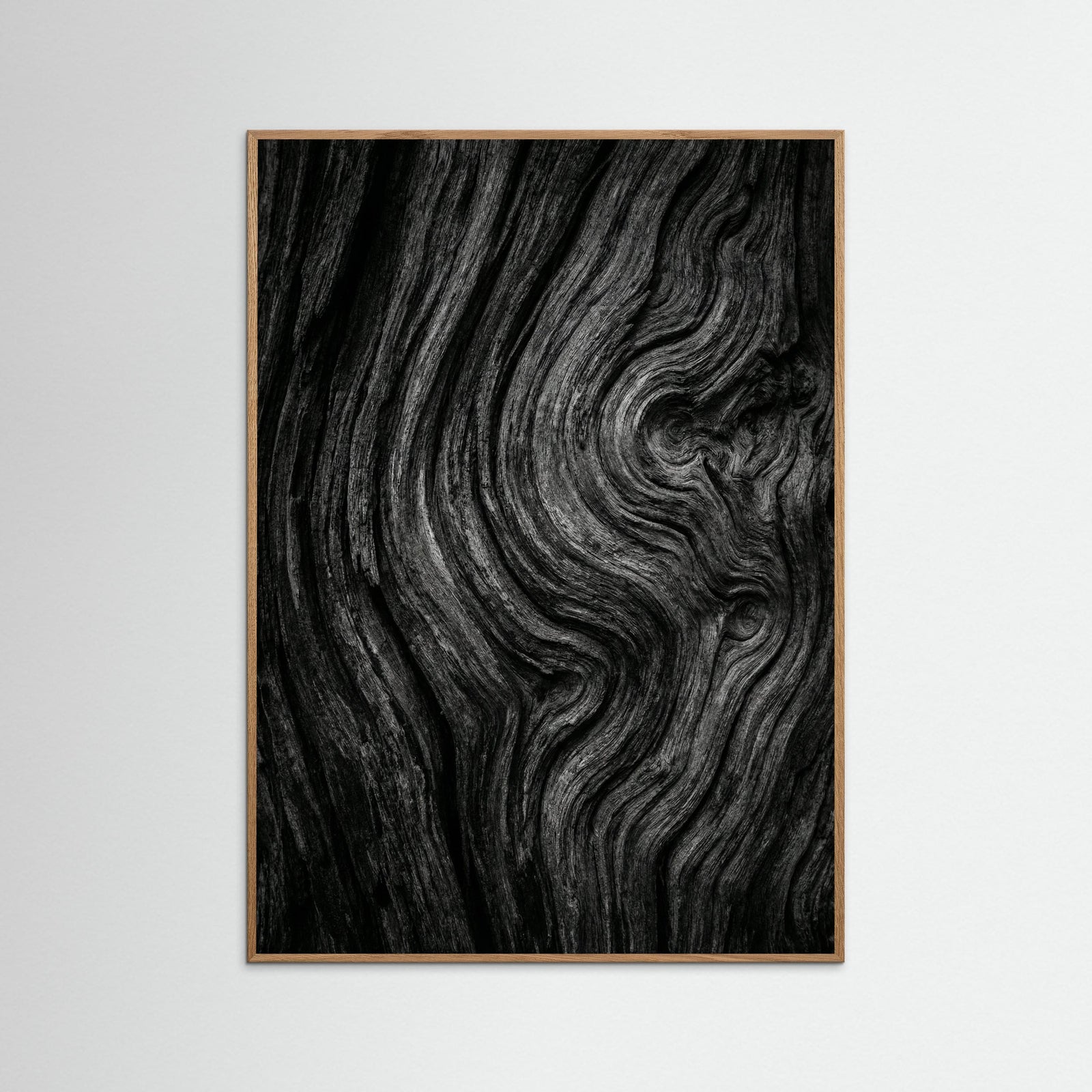 Oak Nature Silent Leaves