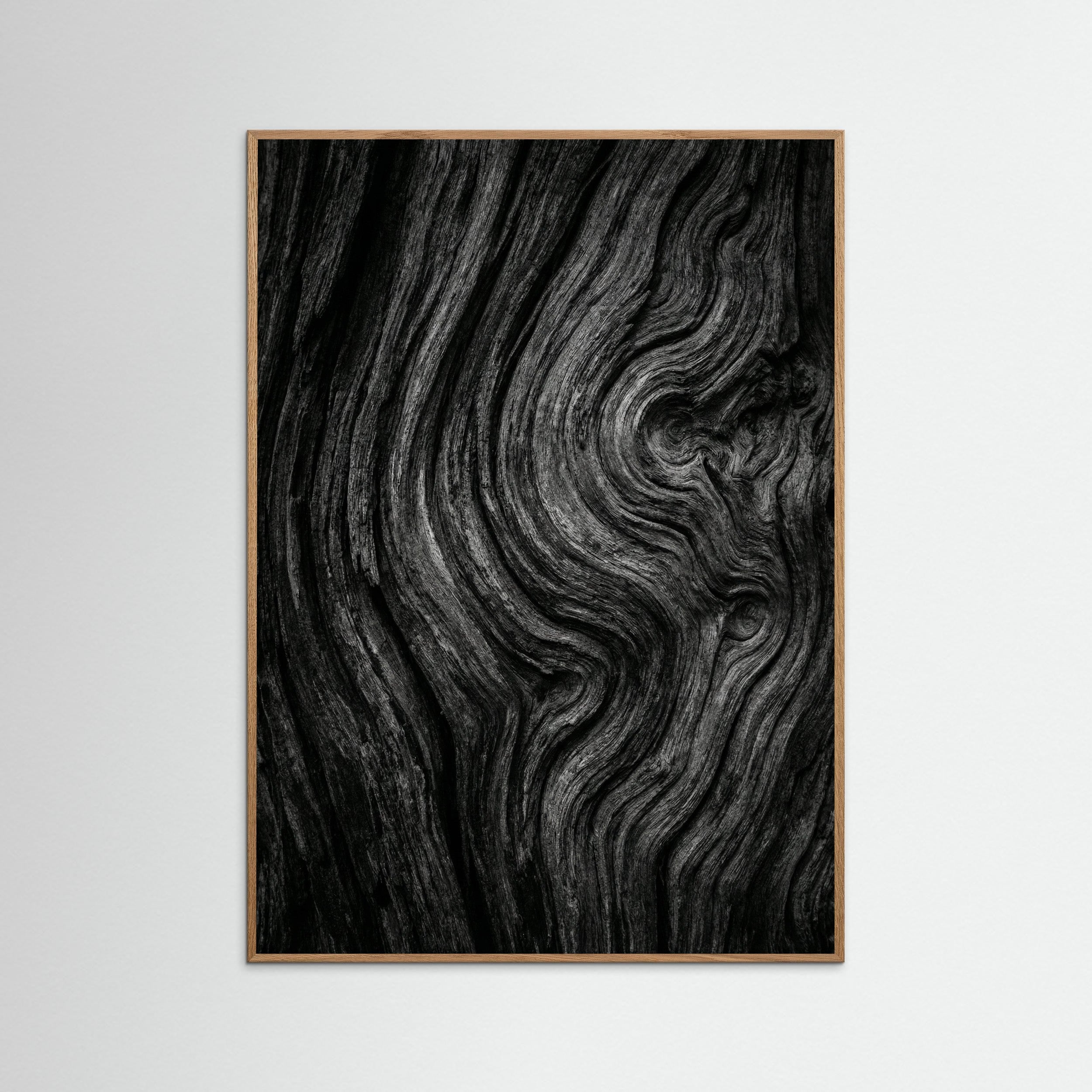 Oak Nature Silent Leaves