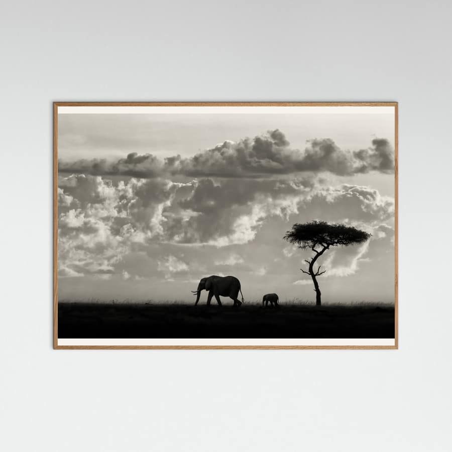 Silhouettes of Mara Poster – poster and art print