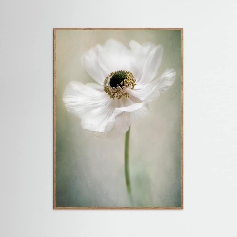 Single White Poster – poster and art print