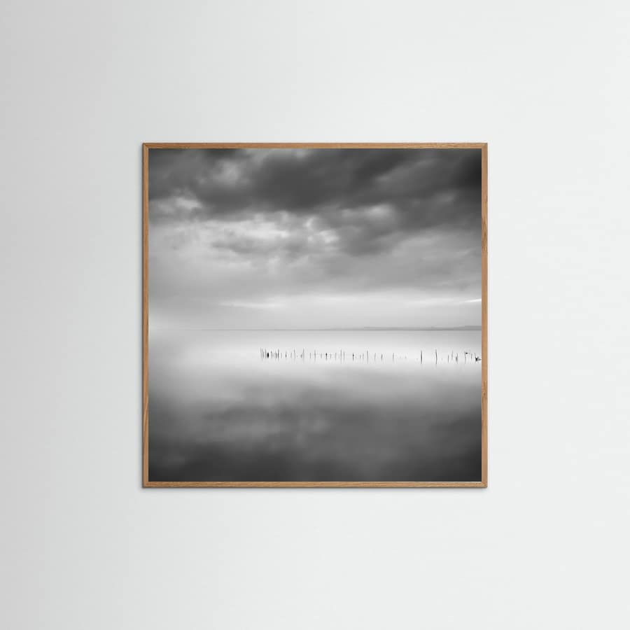 Sixty shades of gray Poster – poster and art print