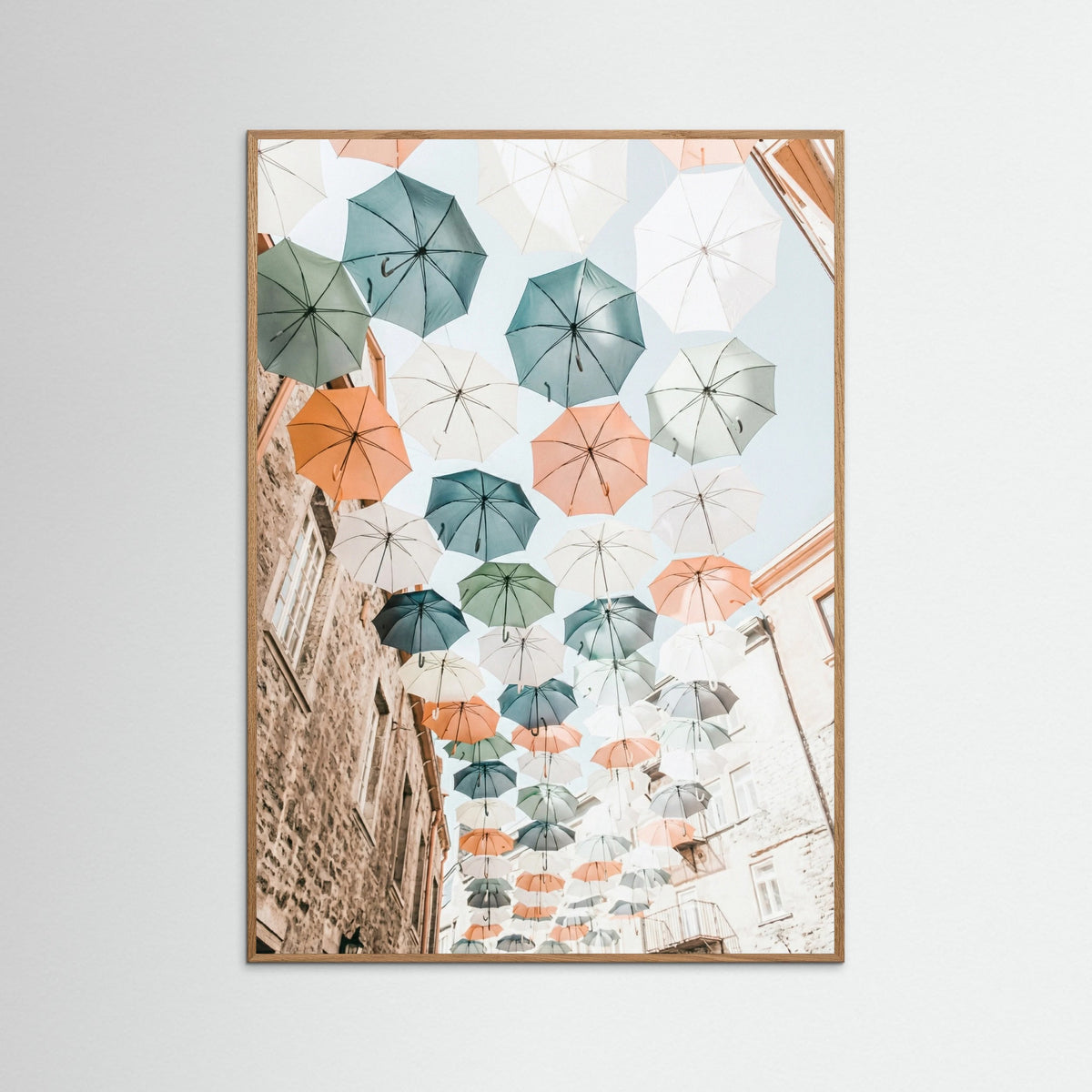 Oak Nature Sky Canopies
