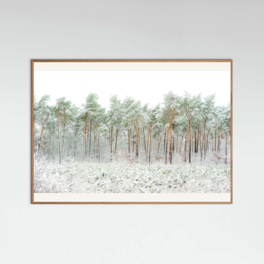 Snow world -juliste – juliste ja taidepainatus