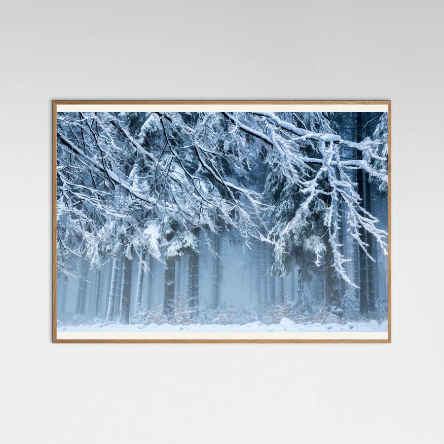 Snowworld Poster – Poster und Kunstdruck