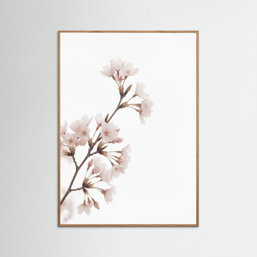 Soft Bloom Study