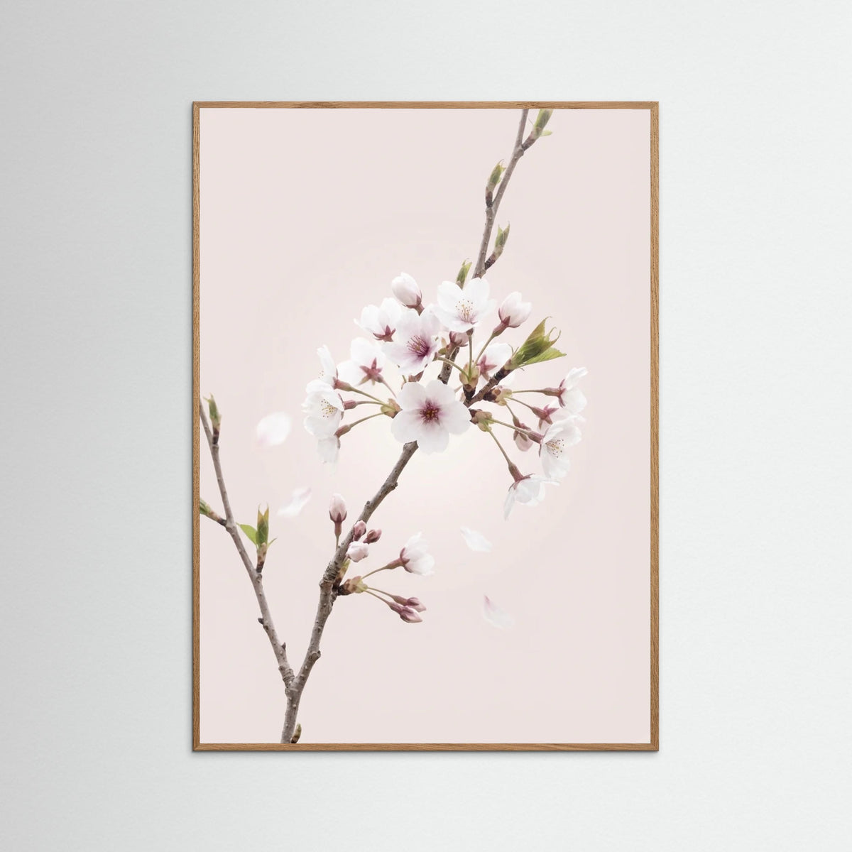 Oak Nature Soft Bloom