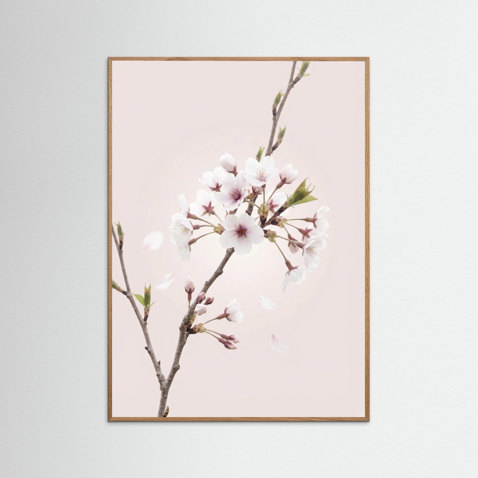 Oak Nature Soft Bloom