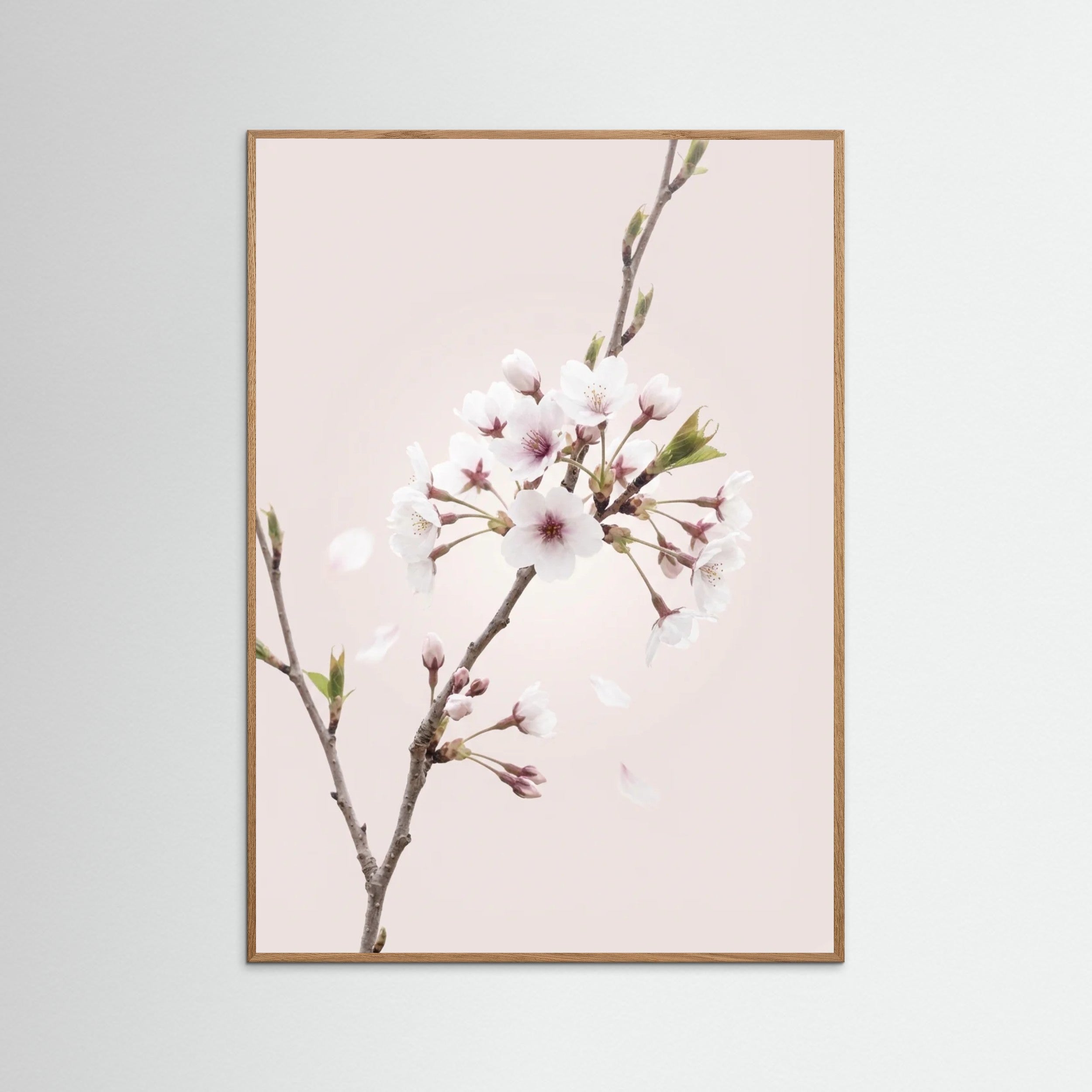 Oak Nature Soft Bloom