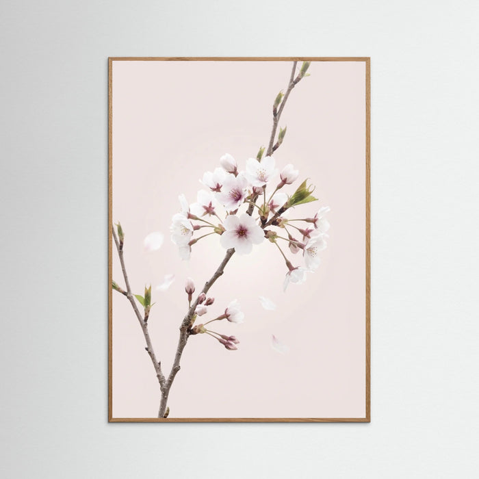Oak Nature Soft Bloom