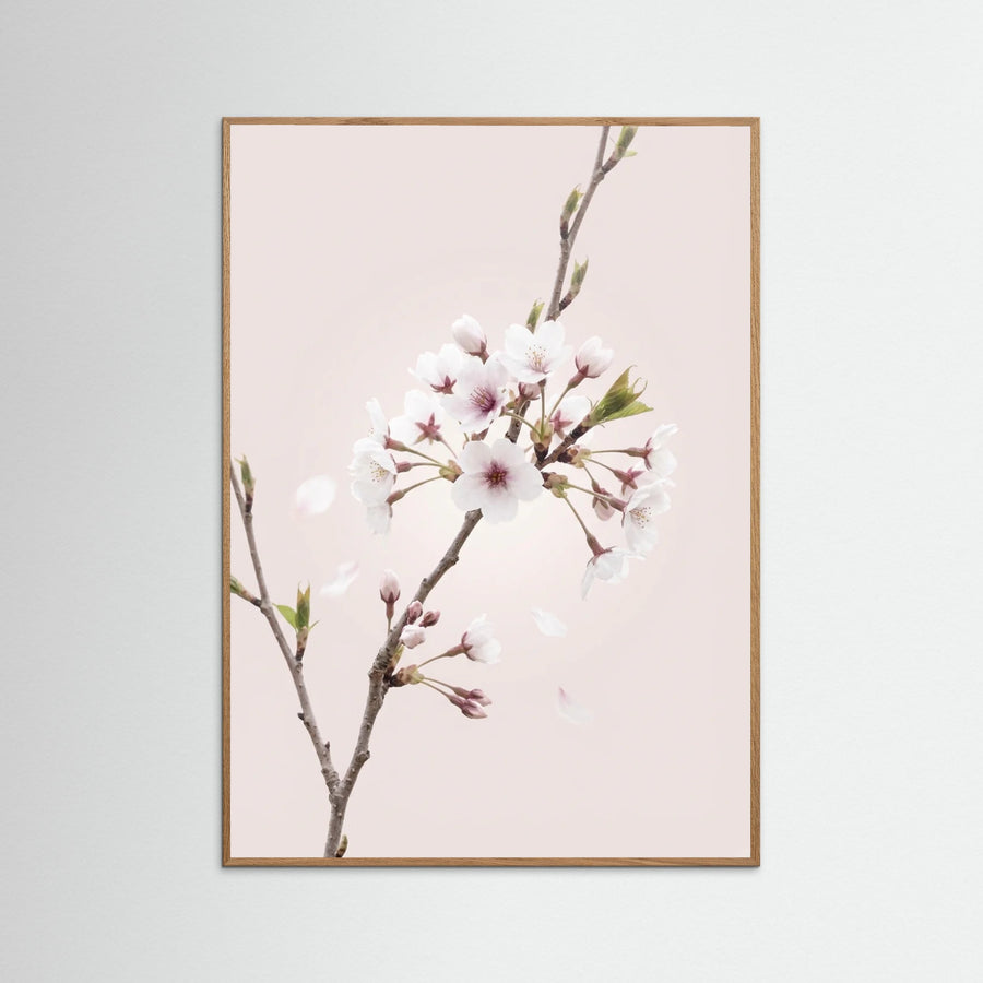 Soft Bloom