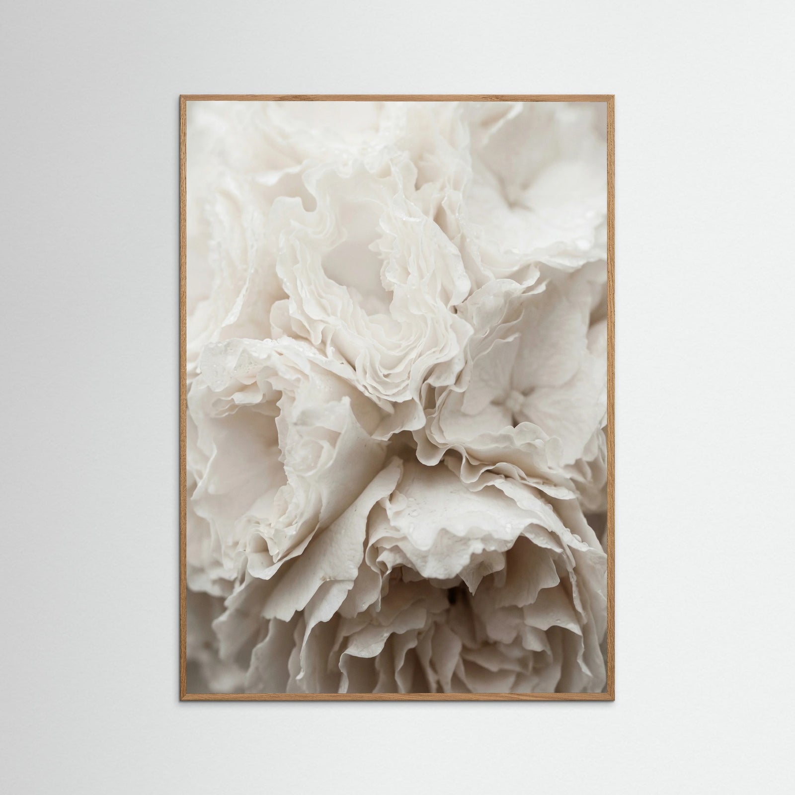 Oak Nature Soft Petals White