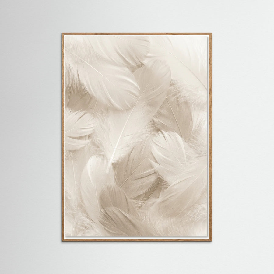 Soft Petals