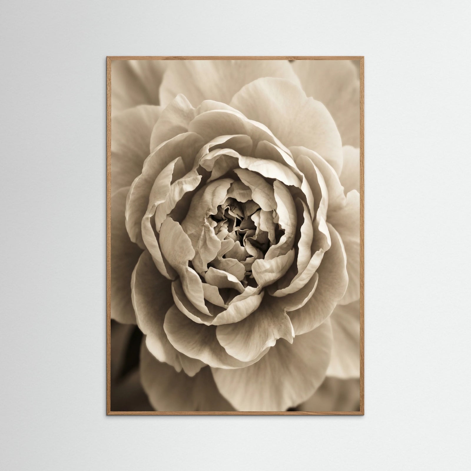 Oak Nature Soft Petals