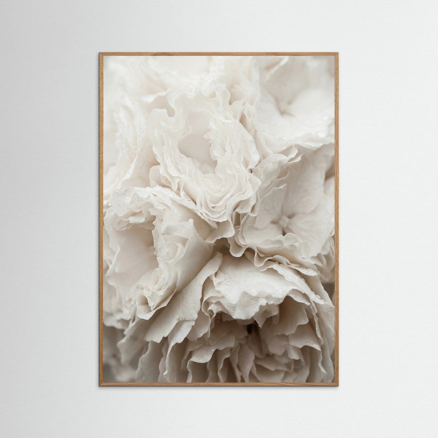 Soft Petals