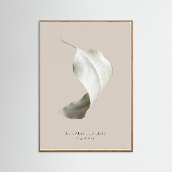 Oak Nature Soft Radiance