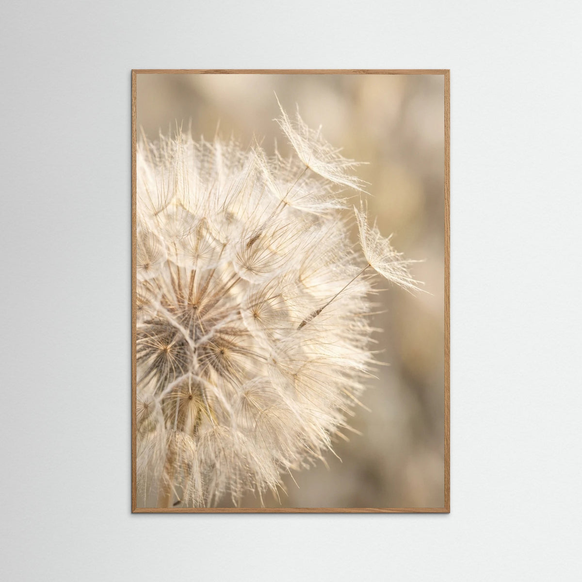 Oak Nature Soft Whisper