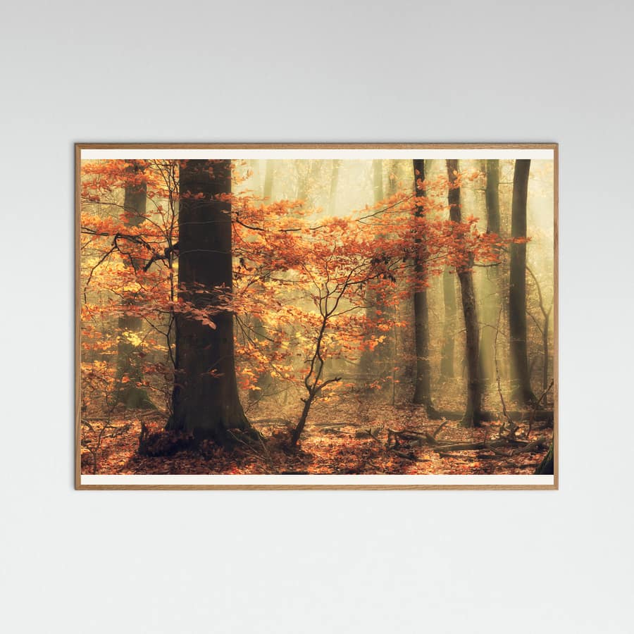 Soft fall Poster