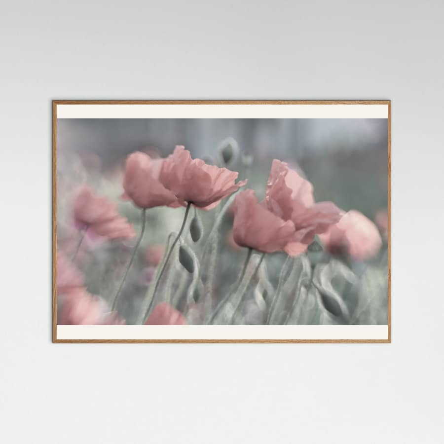 Softly Poster – plakat og kunsttryk
