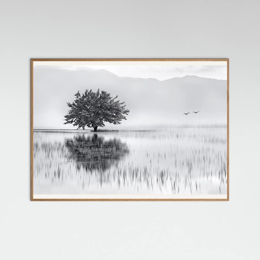 Spring Mirror -juliste
