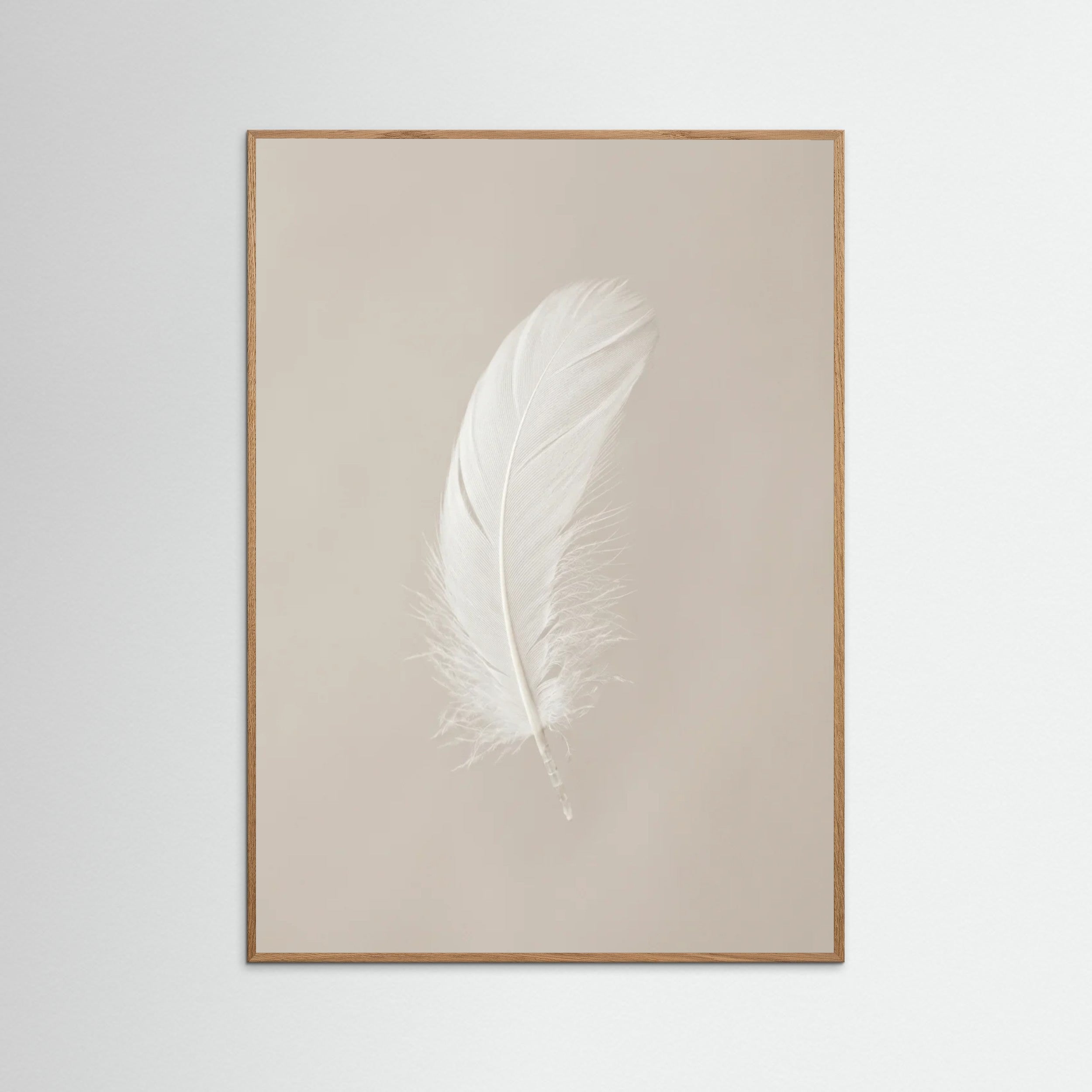 Oak Nature Spring Softness