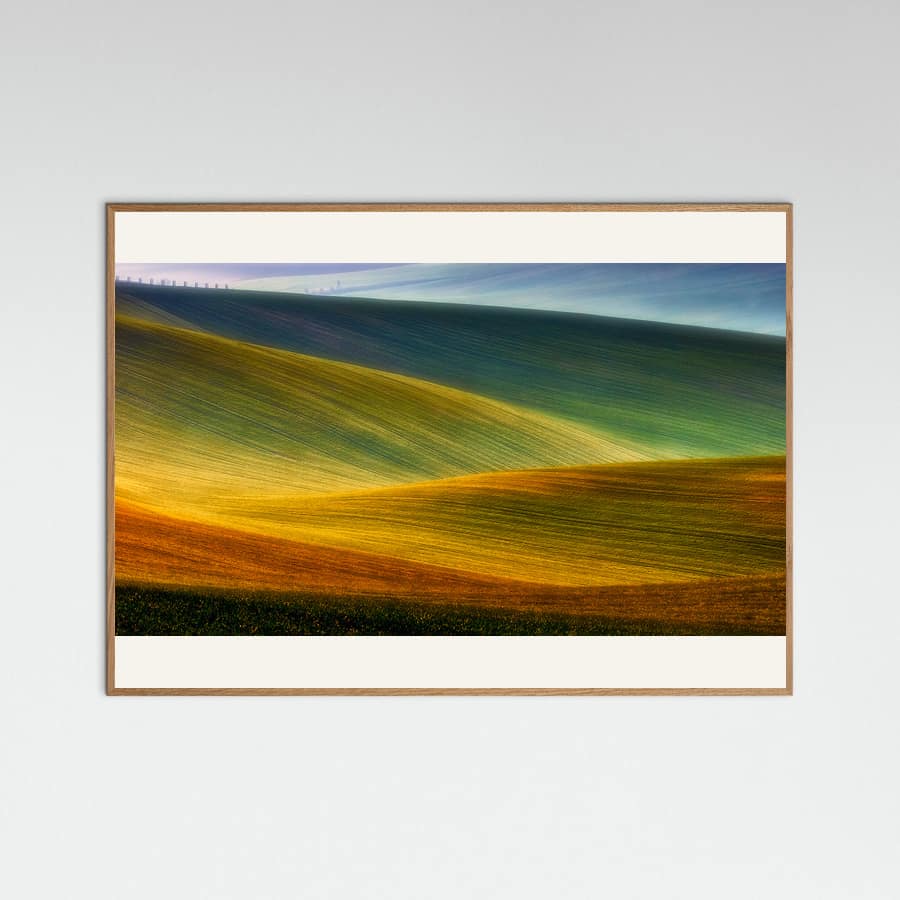 Spring fields Poster – plakat og kunsttryk