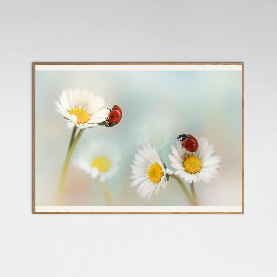 Springtime.... Poster – Poster und Kunstdruck