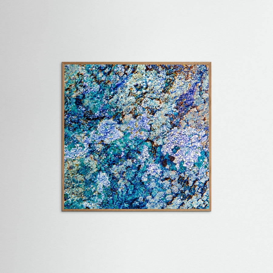 Azure Lichen Mosaic