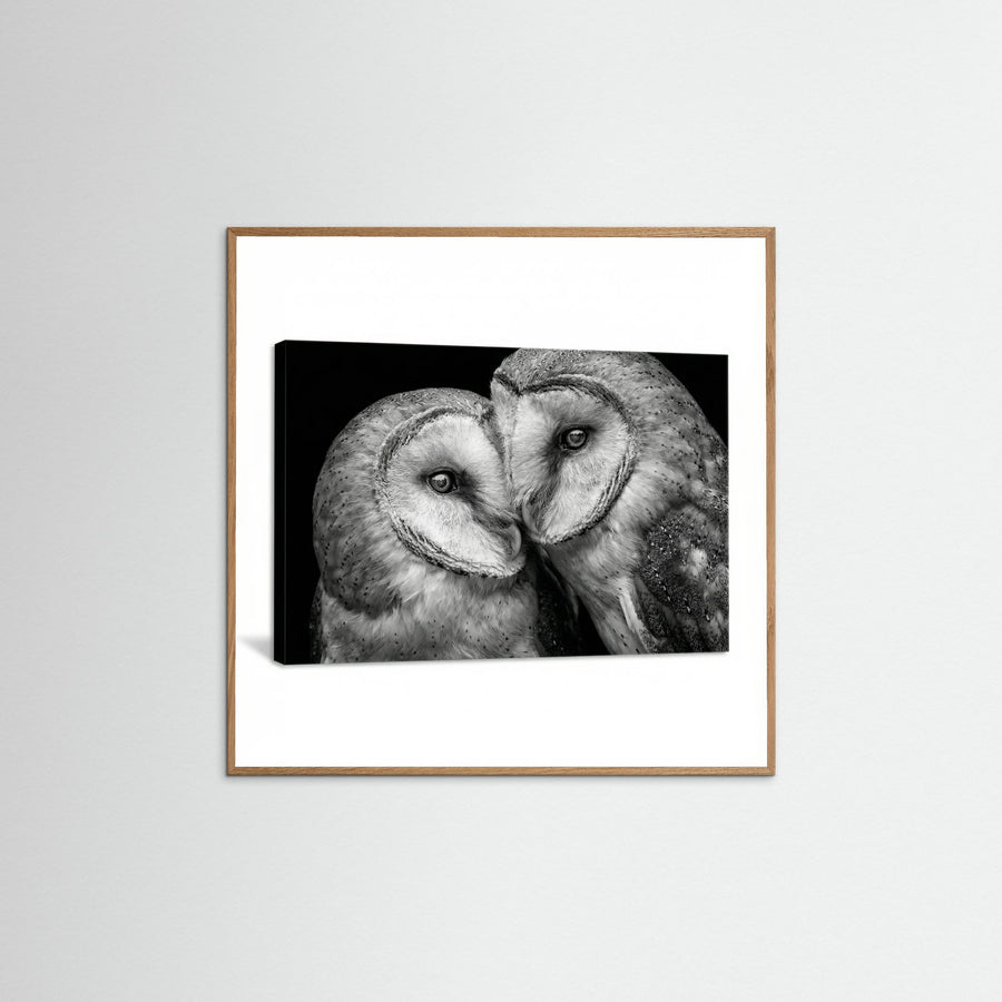 Feathered Connection