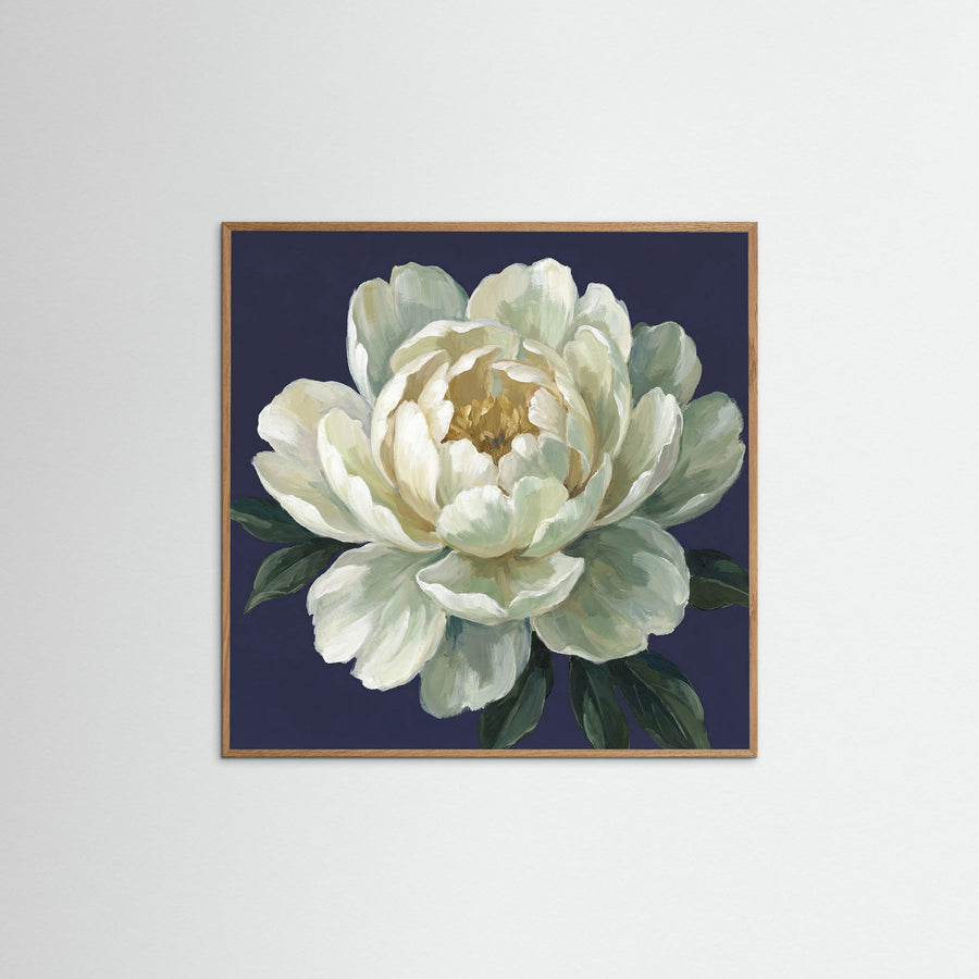 Midnight Bloom