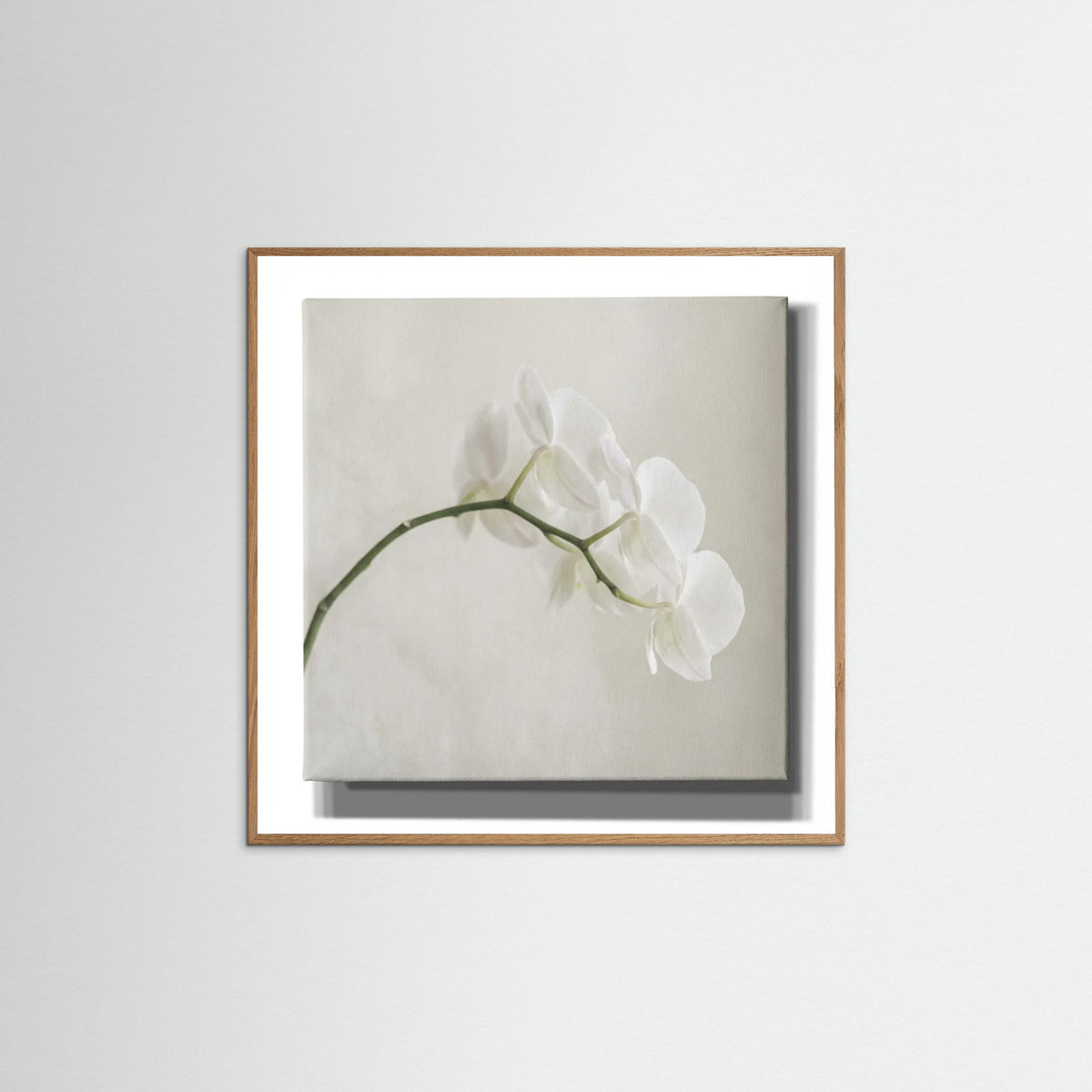 Oak Nature Square Quiet Bloom