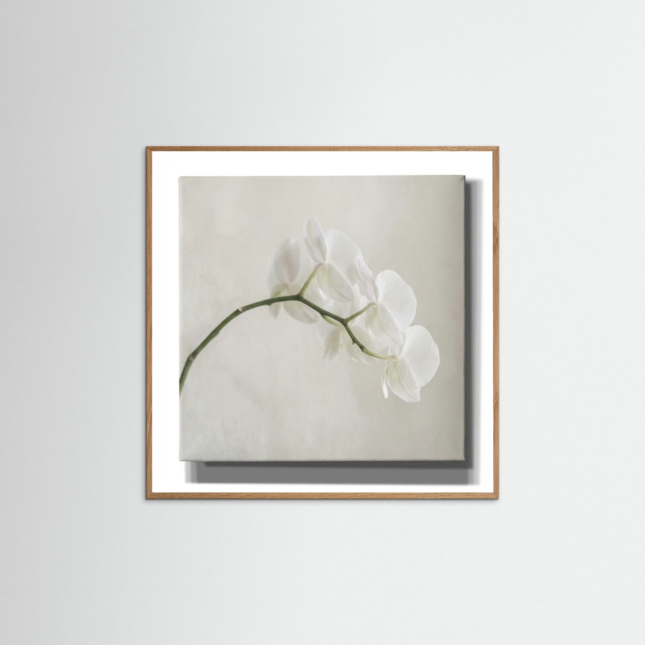 Oak Nature Square Quiet Bloom