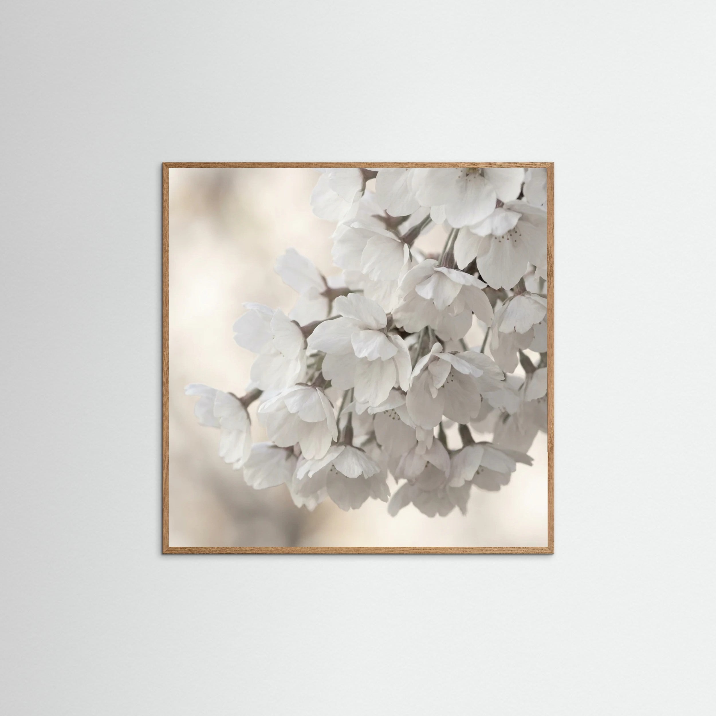 Oak Nature Square White Bloom Serenity