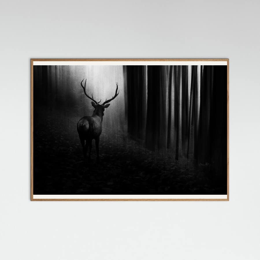 Stag Poster
