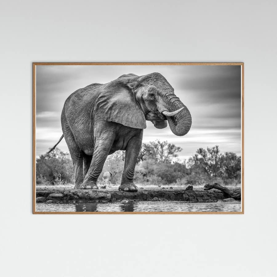 Standing Proud Poster